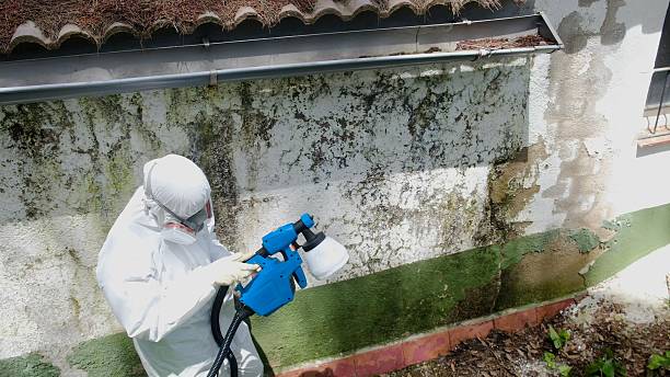 Top rated local Commercial Mold Remediation specialists in Middleburg, VA